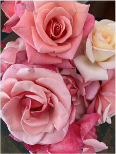 Pink Rose Bouquet