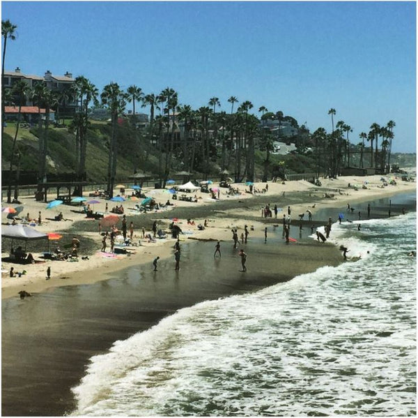 The Beach at San Clemente, California